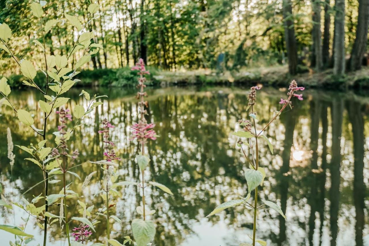 Healing Ponds Farm Villa Buxton Esterno foto