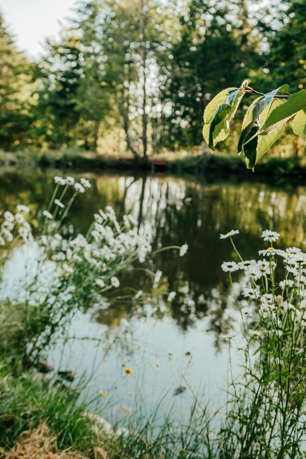 Healing Ponds Farm Villa Buxton Esterno foto