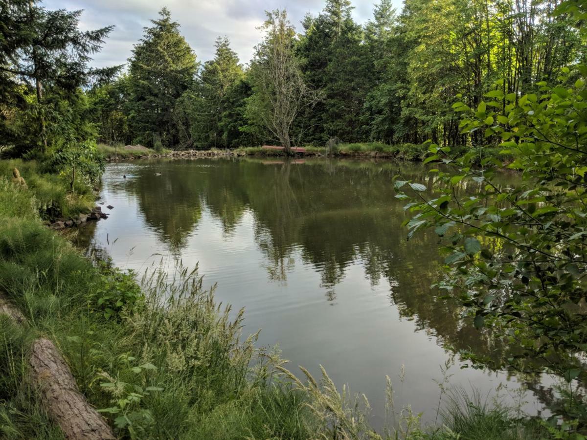 Healing Ponds Farm Villa Buxton Esterno foto